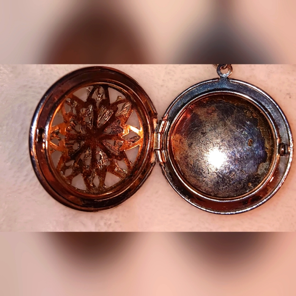 Baltic Essentials Oil Diffuser Pendant Necklace - image 5